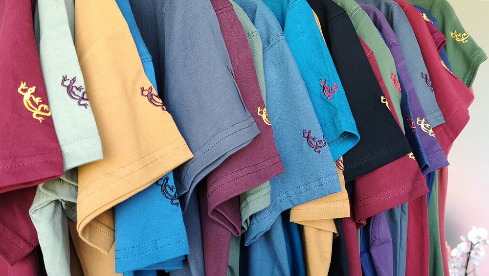 image couleur t-shirt sambalou 2020 